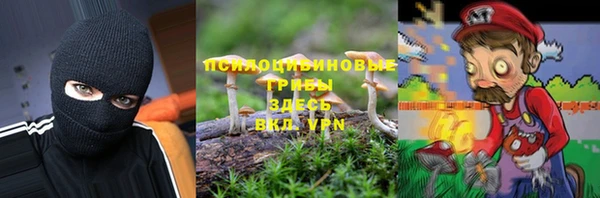 дурь Аркадак
