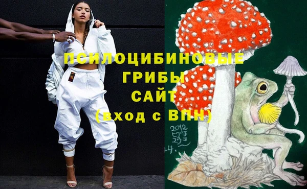дурь Аркадак