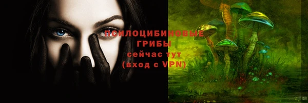 дурь Аркадак