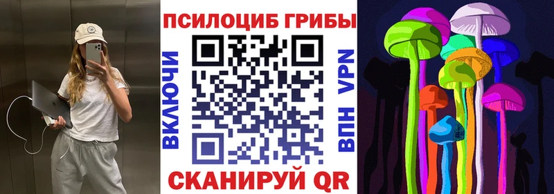 где купить   Дзержинск  Галлюциногенные грибы мицелий 